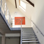 The Seed Factory | Central Stairs
